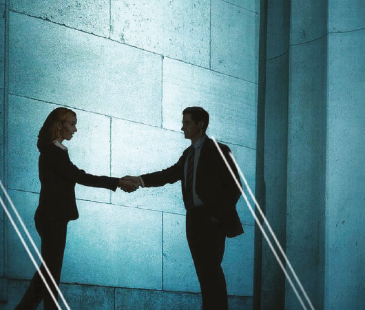 FALCON Projesinden Yüksek Düzeyde Yolsuzlukla Mücadeleye Yönelik Politika Notu